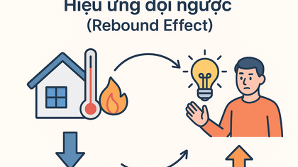 The Rebound Effect in Energy-Efficient Buildings