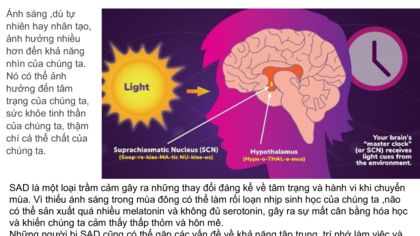 ÁNH SÁNG TỰ NHIÊN VÀ SỨC KHOẺ